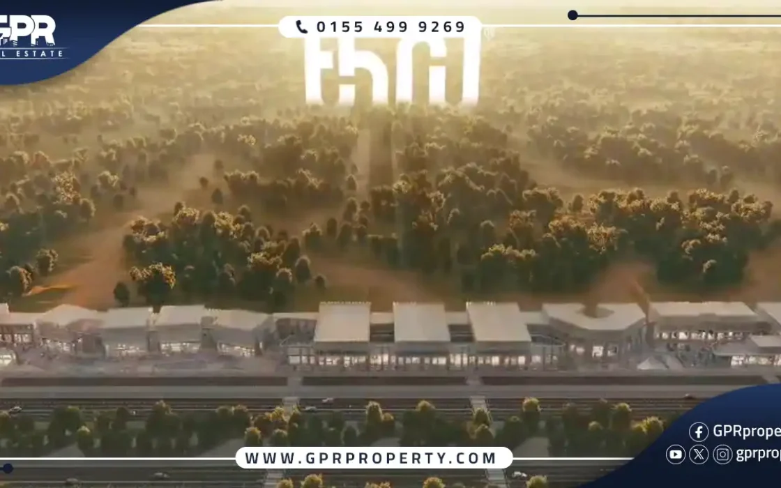 Thru Mall Sheikh Zayed