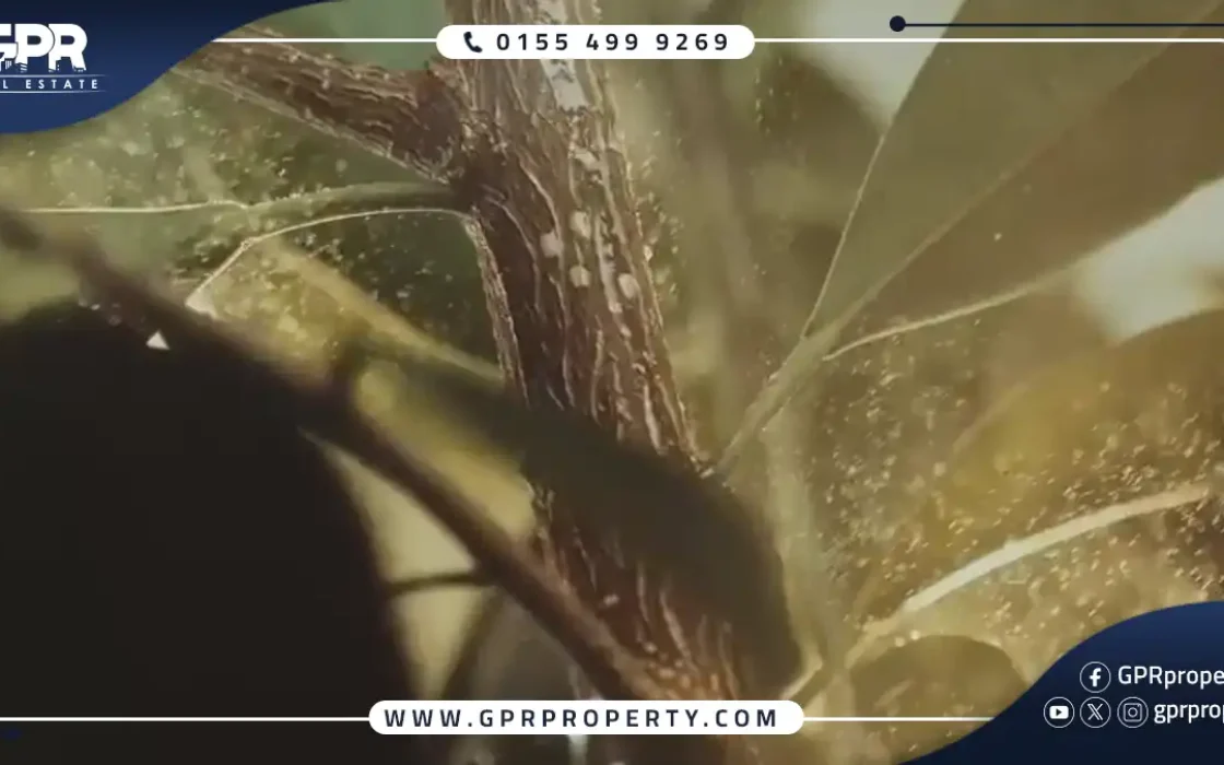 The Butterfly Mostakbal City Compound