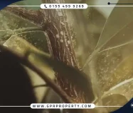 The Butterfly Mostakbal City Compound