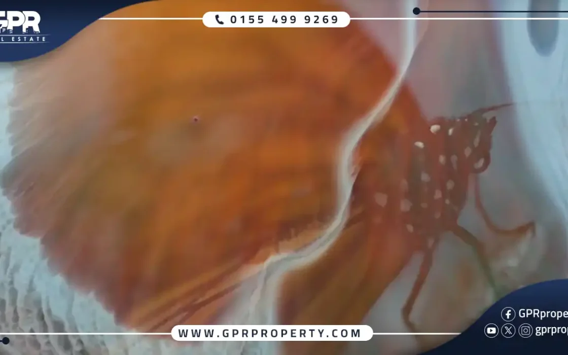 The Butterfly Mostakbal City Compound