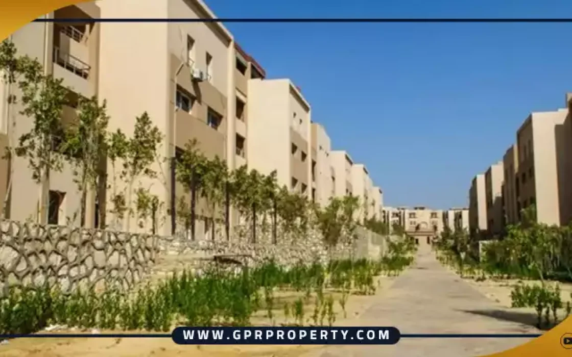 Nmq Mall Sheikh Zayed